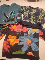 Jongens Truien & Longsleeves Maat 110-117, Ophalen of Verzenden, Gebruikt, Onbekend, Jongen