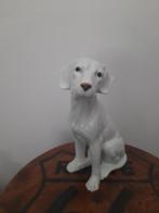 Beeld hond, Ophalen of Verzenden, Zo goed als nieuw, Dier