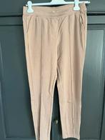 Zgan jersey broek Dreamstar maat m, Maat 38/40 (M), Dreamstar, Beige, Ophalen of Verzenden