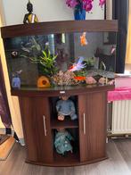 JUWEL aquarium, Dieren en Toebehoren, Zoetwatervis