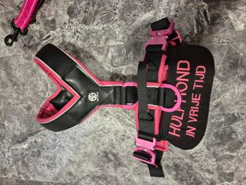 Bad guys dog wear tuig met hulphond cape beschikbaar voor biedingen