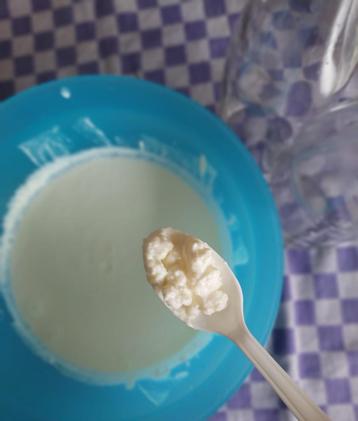 Melk kefir korrels / roosjes beschikbaar voor biedingen