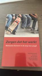 Huub Pijnenburg - Zorgen dat het werkt, Maatschappij en Samenleving, Ophalen of Verzenden, Zo goed als nieuw, Huub Pijnenburg; Giel Hutschemaekers; Tom van Yperen; Jo Herm...
