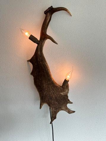 Geweienlamp.lamp.wandlamp.geweien.edelhert.damhert.brocante. beschikbaar voor biedingen