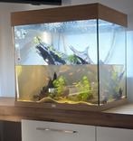 Aquarium Juwel Lido 120, Ophalen, Gebruikt, Leeg aquarium