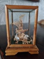 Chinees Miniatuur Kurksnijwerkje in Houten Vitrinekastje., Ophalen of Verzenden