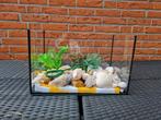 Vissenkom / aquarium met toebehoren, Dieren en Toebehoren, Ophalen, Zo goed als nieuw, Leeg aquarium