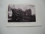 Kasteel,Slot,Ruine,Riviere,Mathenesse,Schiedam,Rotterdam, Ophalen of Verzenden, Voor 1920, Ongelopen, Zuid-Holland