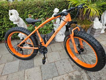 Fatbike Vogels - Stoere fiets voor elk terrein! beschikbaar voor biedingen
