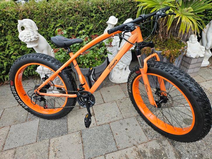 Fatbike Vogels - Stoere fiets voor elk terrein!, Fietsen en Brommers, Fietsen | Mountainbikes en ATB, Gebruikt, Heren, Overige merken