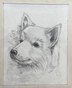 Tekening Hond, Antiek en Kunst, Ophalen of Verzenden