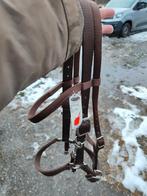 Nieuw halster hoofdstel van Weaver, Ophalen, Nieuw, Western