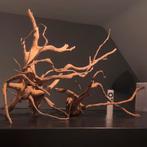 Spiderwood AquaScape Set 2x Large - Kienhout, Hout Decoratie, Dieren en Toebehoren, Ophalen of Verzenden, Zo goed als nieuw, Plant(en), Steen of Hout