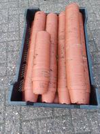 Kleine kweekpotten 8 cm, Kunststof, Gebruikt, Rond, Ophalen of Verzenden