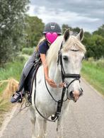 Lieve gevoelige D pony merrie zoekt gouden huisje, Dieren en Toebehoren, Pony's, Merrie, B, 11 jaar of ouder, Recreatiepony