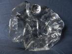 Gevormde glazen schaal met schelpen Jolanda Prinsen 22 cm 4, Antiek en Kunst, Antiek | Glas en Kristal, Ophalen of Verzenden