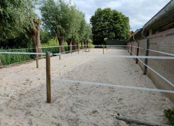 Stalling beschikbaar voor Shetlanders en pony’s (A t/m D) beschikbaar voor biedingen