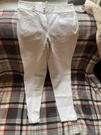 Pikeur 44, Ophalen of Verzenden, Zo goed als nieuw, Dressuur