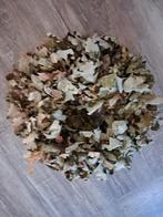 Herfst krans 2 stuks, Huis en Inrichting, Woonaccessoires | Kransen, Ophalen