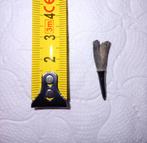 Ischyrhiza mira fossielen zaagvis tand, Ophalen of Verzenden, Fossiel