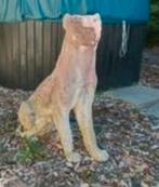 Betonnen zware panter., Ophalen of Verzenden