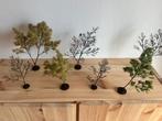 handgemaakte bomen, Hobby en Vrije tijd, Modelbouw | Figuren en Diorama's, Ophalen of Verzenden, Nieuw, 1:50 of kleiner, Diorama
