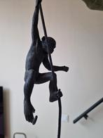 Aap lamp Seletti Marama Origineel, Ophalen