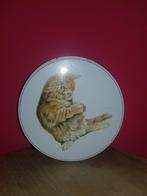 Blik (548), Verzamelen, Ophalen of Verzenden, Zo goed als nieuw, Overige