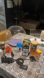 Aquarium, Vis