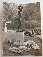 Rodin met zwanen 1948 London Battersea park, Antiek en Kunst, Verzenden