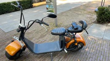 *OPRUIMING* Rubrider oranje beschikbaar voor biedingen
