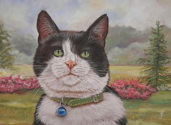 Schilderij kat in tuin met lijst - origineel cadeau - katten, Antiek en Kunst, Kunst | Schilderijen | Klassiek, Ophalen of Verzenden