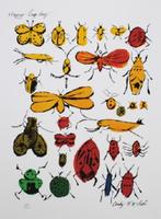 Andy Warhol(1928)Grano Lithografie "Happy Bug Day " Ges Gen, Antiek en Kunst, Kunst | Litho's en Zeefdrukken, Ophalen of Verzenden
