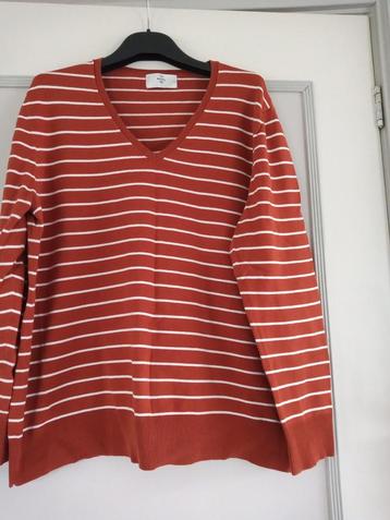 Keurige trui maat L (C&A) beschikbaar voor biedingen