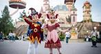 Efteling ticket, Tickets en Kaartjes, Eén persoon