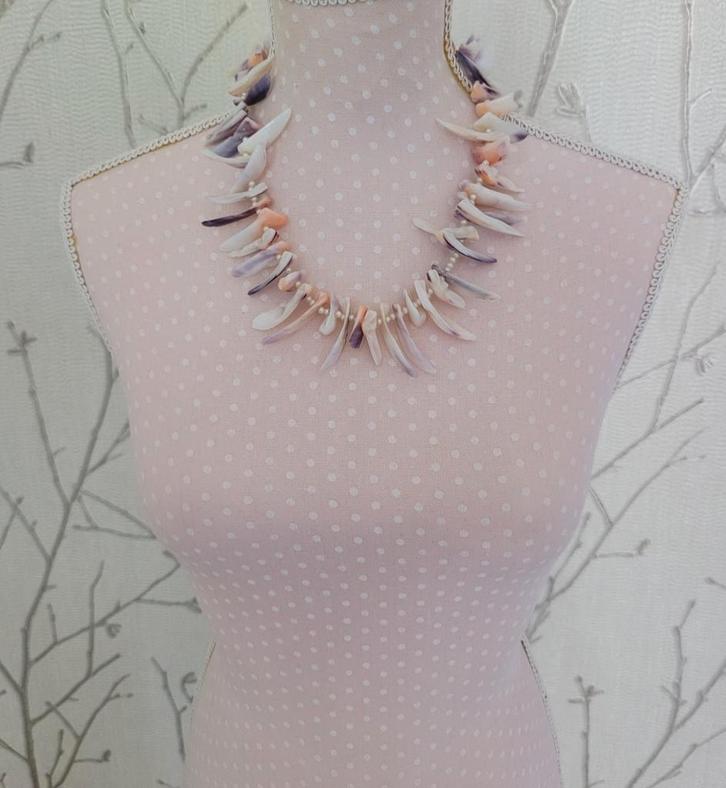 Schelpen Collier, Sieraden, Tassen en Uiterlijk, Kettingen, Zo goed als nieuw, Overige materialen, Overige kleuren, Ophalen of Verzenden