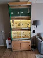 Vogelkooi, Dieren en Toebehoren, Vogels | Hokken en Kooien, Ophalen, Zo goed als nieuw, Kunststof, Vogelkooi