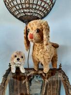 2  ...  OUD  .......  STROGEVULD  ...  HONDEN  !!!, Ophalen of Verzenden