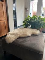 Ijslandse Schapenvacht in uitstekende staat, Ophalen of Verzenden, Zo goed als nieuw