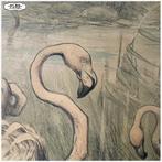 Oude schoolplaat Prent Flamingos, Antiek en Kunst, Ophalen, Natuur en Biologie