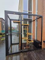 Kattenren Boskoop | Maatwerk | Duurzame materialen, Dieren en Toebehoren, Katten-accessoires, Ophalen of Verzenden, Nieuw