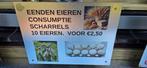 EENDEN EIEREN CONSUMPTIE, Dieren en Toebehoren, Ophalen, Zo goed als nieuw, Overige typen