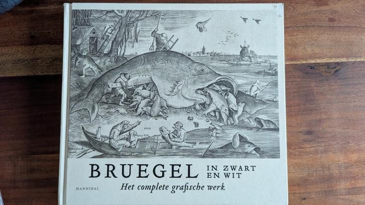 Breugel in Zwart & Wit - Hardcover, Boeken, Kunst en Cultuur | Beeldend, Zo goed als nieuw, Schilder- en Tekenkunst, Ophalen