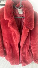 Bordeau rode jas, Ophalen, Primark, Maat 36 (S), Gedragen