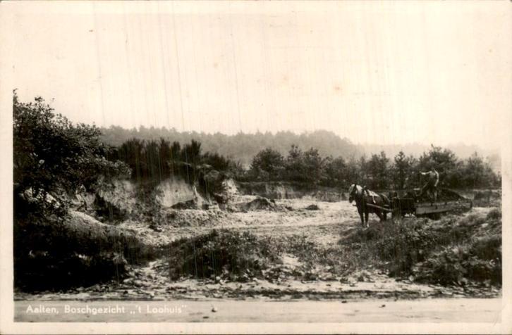 Aalten - Boschgezicht - t Loohuis, Verzamelen, Ansichtkaarten | Nederland