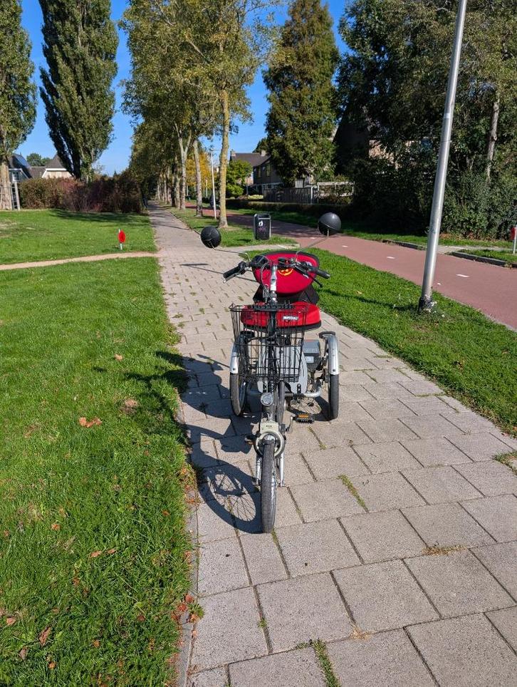 Van Raam Easy Go, Fietsen en Brommers, Fietsen | Driewielfietsen, Gebruikt, Ophalen