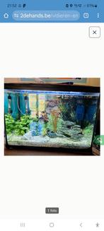 Superfish start 100 tropical kit zwart, Dieren en Toebehoren, Ophalen, Zo goed als nieuw, Leeg aquarium