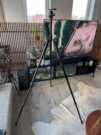 REDGED Statief/Balhooft/Stabalizer TSA-427K/RNB-2n, Gebruikt, 150 tot 175 cm, Met balhoofd, Ophalen of Verzenden