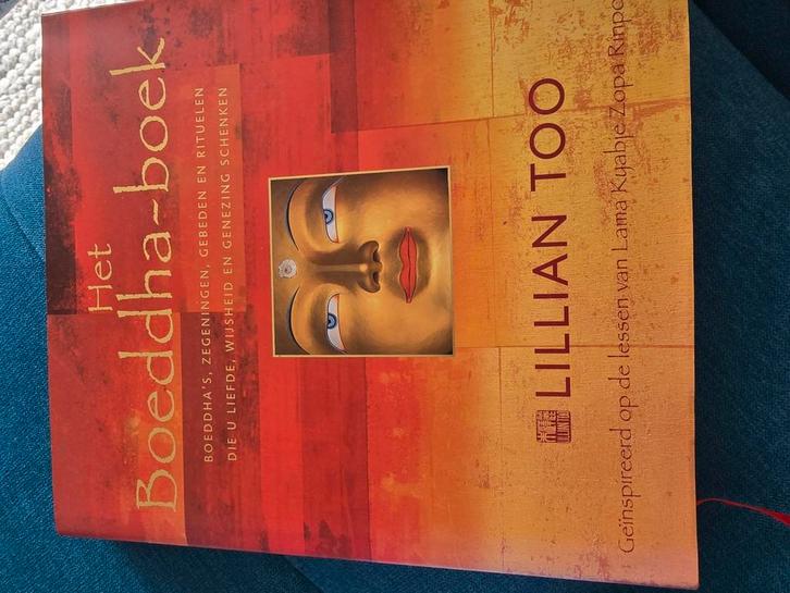 L. Too - Het Boeddha-boek, Boeken, Filosofie, Zo goed als nieuw, Ophalen of Verzenden