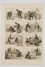 Japanse theeteelt - Antieke illustratie (1874), Antiek en Kunst, Verzenden
